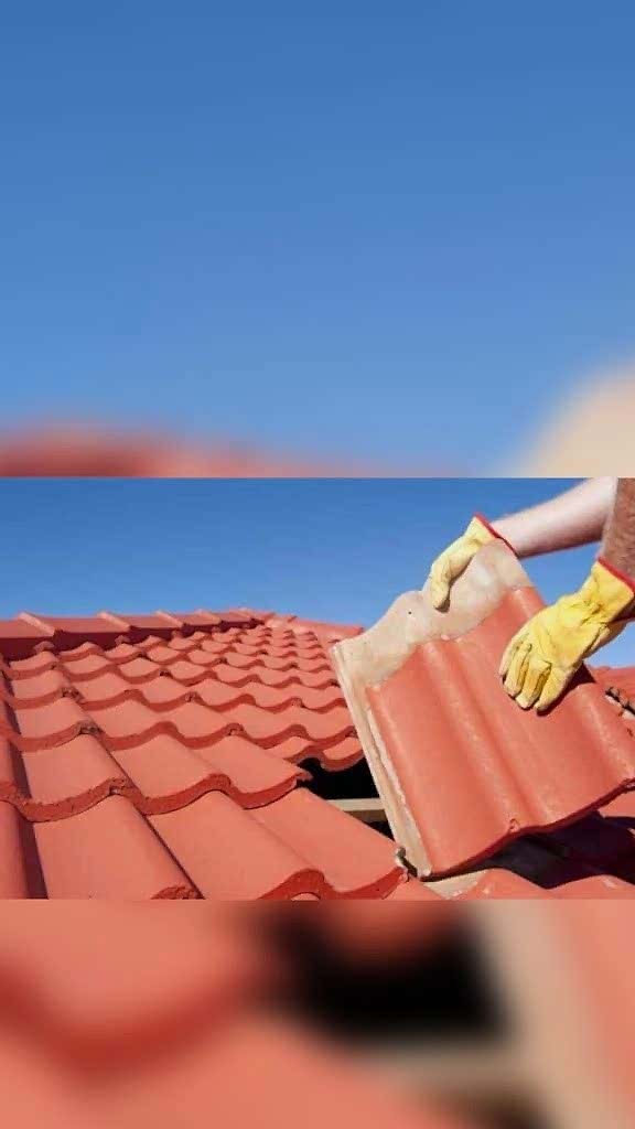 wp story1672083596610 59070694472542408486